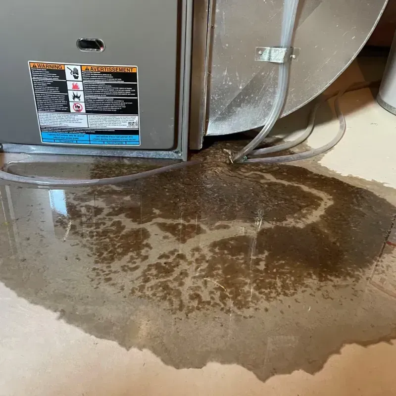 Appliance Leak Cleanup in Hayfield, VA